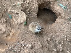 -秦皇岛野生动物园