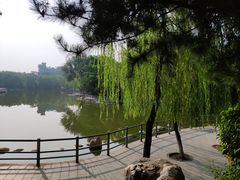 -莲湖公园