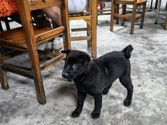 -香江农家乐饭店