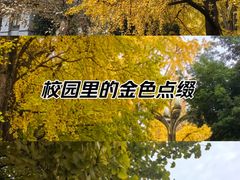 -四川大学(华西校区)