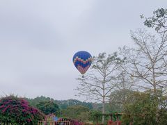 -中国科学院西双版纳热带植物园