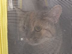 -美联众合24小时·皮肤科·外科·全科诊疗中心(华苑分院)