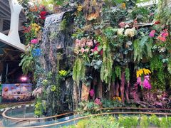-正佳雨林生态植物园