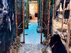 -北京动物园-畅观楼