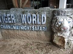 -清迈夜间动物园