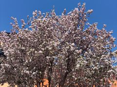 -京津佛罗伦萨小镇