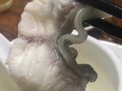 海鳗-金砂阿洲鱼册店