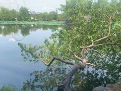 -无锡蠡湖国家湿地公园-蠡园