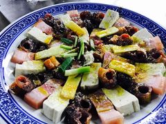 -张鸟园农家乐(张鸟园店)