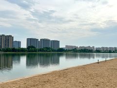 -金沙湖公园