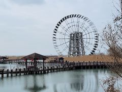 -太湖湖滨国家湿地公园-停车场