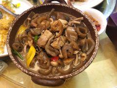一品菇烧参-堂宴·老厦门私房菜(1988仙岳总店)