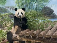 -杭州动物园