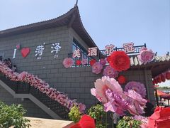 -曹州牡丹园
