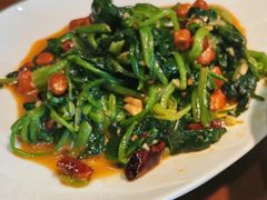 -纯肴大东北(新城北街店)