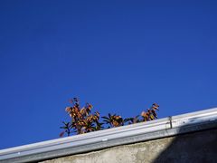 -UNI UNI(环亚凯瑟琳店)