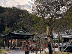 -广东温泉宾馆