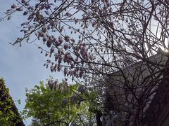-老门东历史文化街区