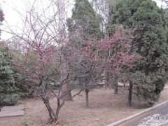-解放人民公园