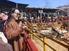 -西霞口神雕山野生动物世界