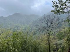 -青城山
