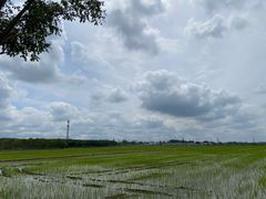 -嘉北郊野公园