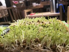 -椰夫人·养生椰子鸡(黄埔时代城店)