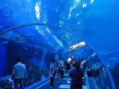 -成都浩海立方海洋公园