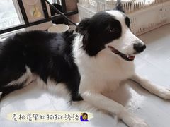 -木子陶艺(春熙路店)