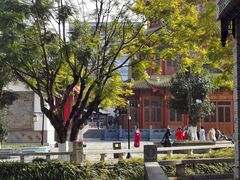 -龙潭水乡