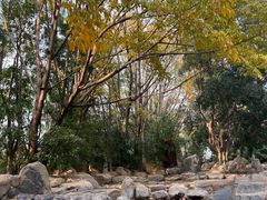 -湖泉半山温泉