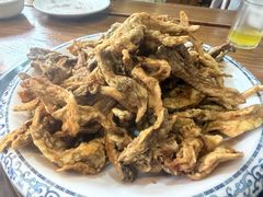 -都江堰石锅鱼