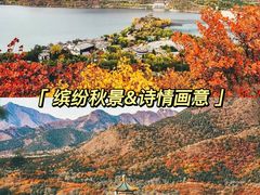 -沉浸北京·团建旅行·密室剧本杀·年会会议轰趴拓展