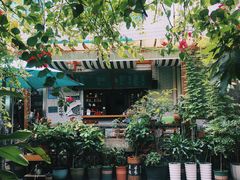 -豆舞咖啡(民乐路店)