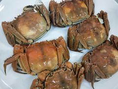 -锦粤宫·精致粤菜(深圳北站店)