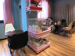 -藦茜花园宠物主题亲子互动体验馆(国顺东路店)