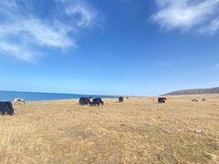 -青海湖国家重点风景名胜区