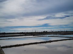 -莺歌海盐场