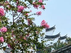 -黎里古镇