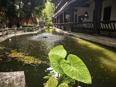 -白帝城·瞿塘峡景区