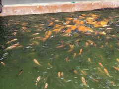 -水都餐厅