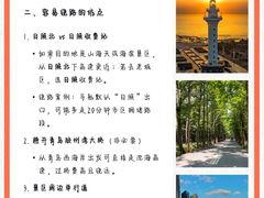 -日照海滨国家森林公园