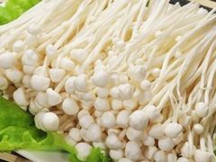 金针菇-圣百岁烘焙(会宝路店)