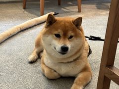 -三目仓咖啡(贤南路店)