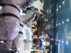 -世界之窗阿尔卑斯冰雪世界