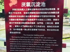 -成都市活水公园