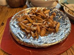 -缘生态云南菜·野生菌庭院餐厅(华侨城店)