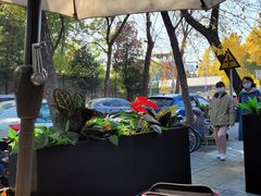 -ALAMEEN阿拉伯餐厅(三里屯店)