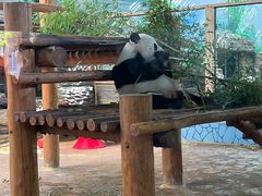 -西霞口神雕山野生动物世界