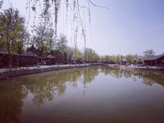 -杨柳青庄园